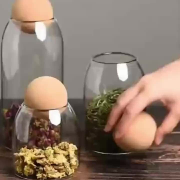3 Piece Glass Snack Storage Jars with Lids and Spoons – Large Capacity Transparent Containers